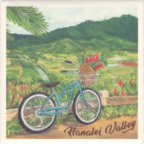 Hanalei Overlook Cork Coaster