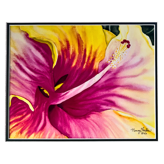 Kauai Hibiscus