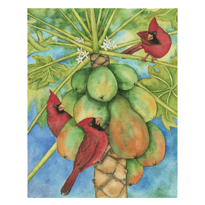 Cardinals in the Papayas Giclée
