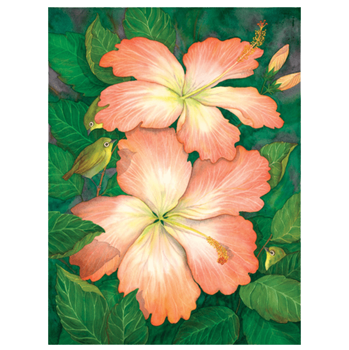 Hibiscus & White Eyes Giclée
