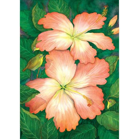 Hibiscus Greeting Card