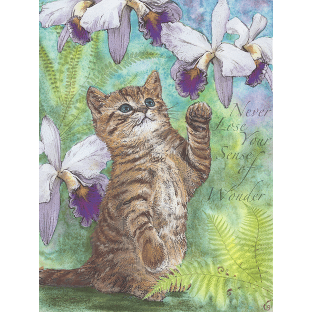 Sense of Wonder Print