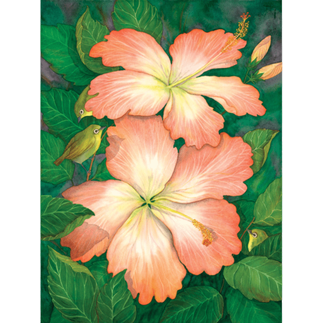 Hibiscus & White Eyes Print