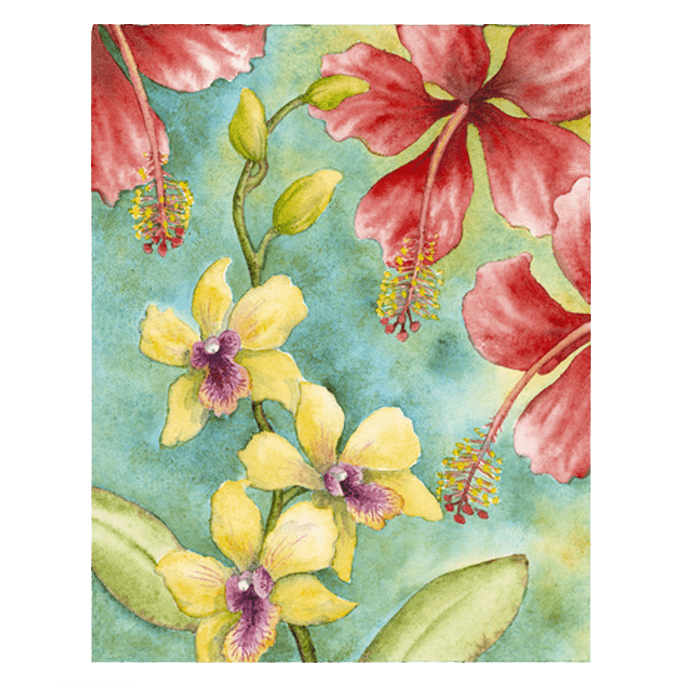 Orchids & Hibiscus Giclée