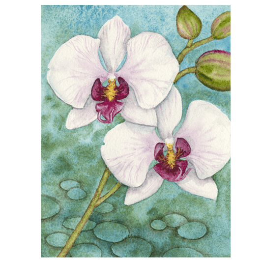 Phalaenopsis in Blue Giclée