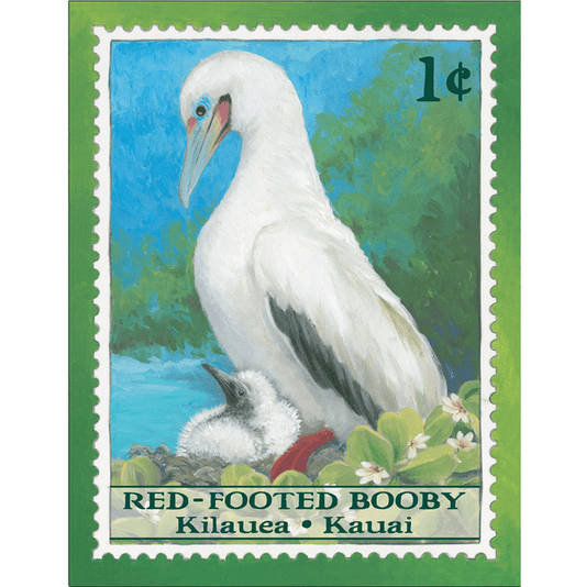Red-Footed Booby/Kilauea