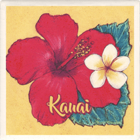 Red Hibiscus Coaster