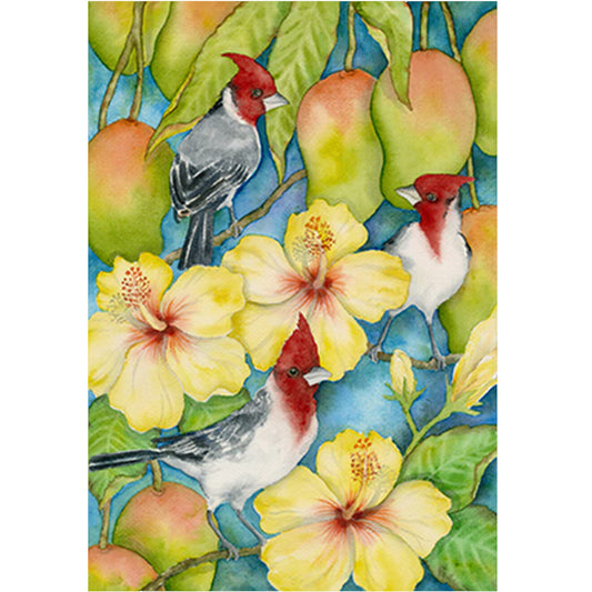 Brazilian Cardinals in the Mangos Note Card