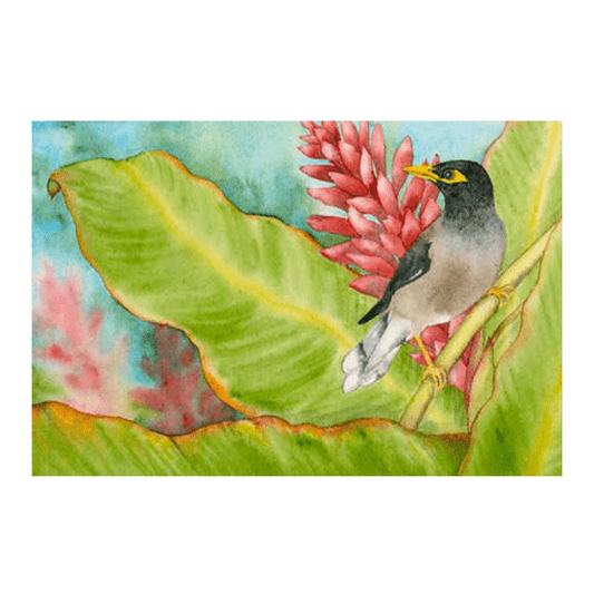 Red Ginger & Mynah Bird Giclée