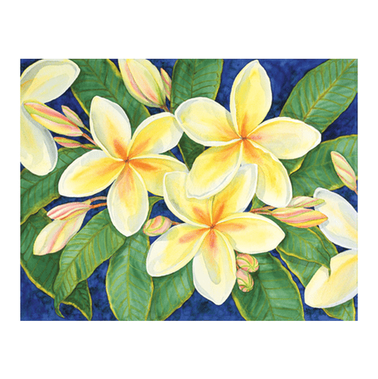 Rainbow Plumeria Giclée