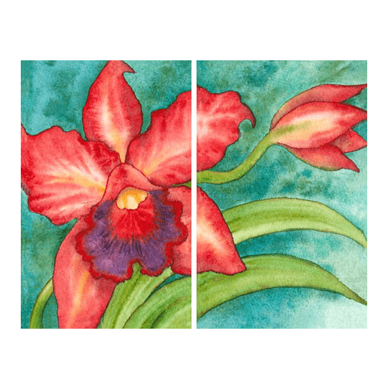 Red Cattleya Diptych Giclée
