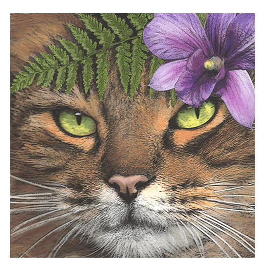 Bodhi Print
