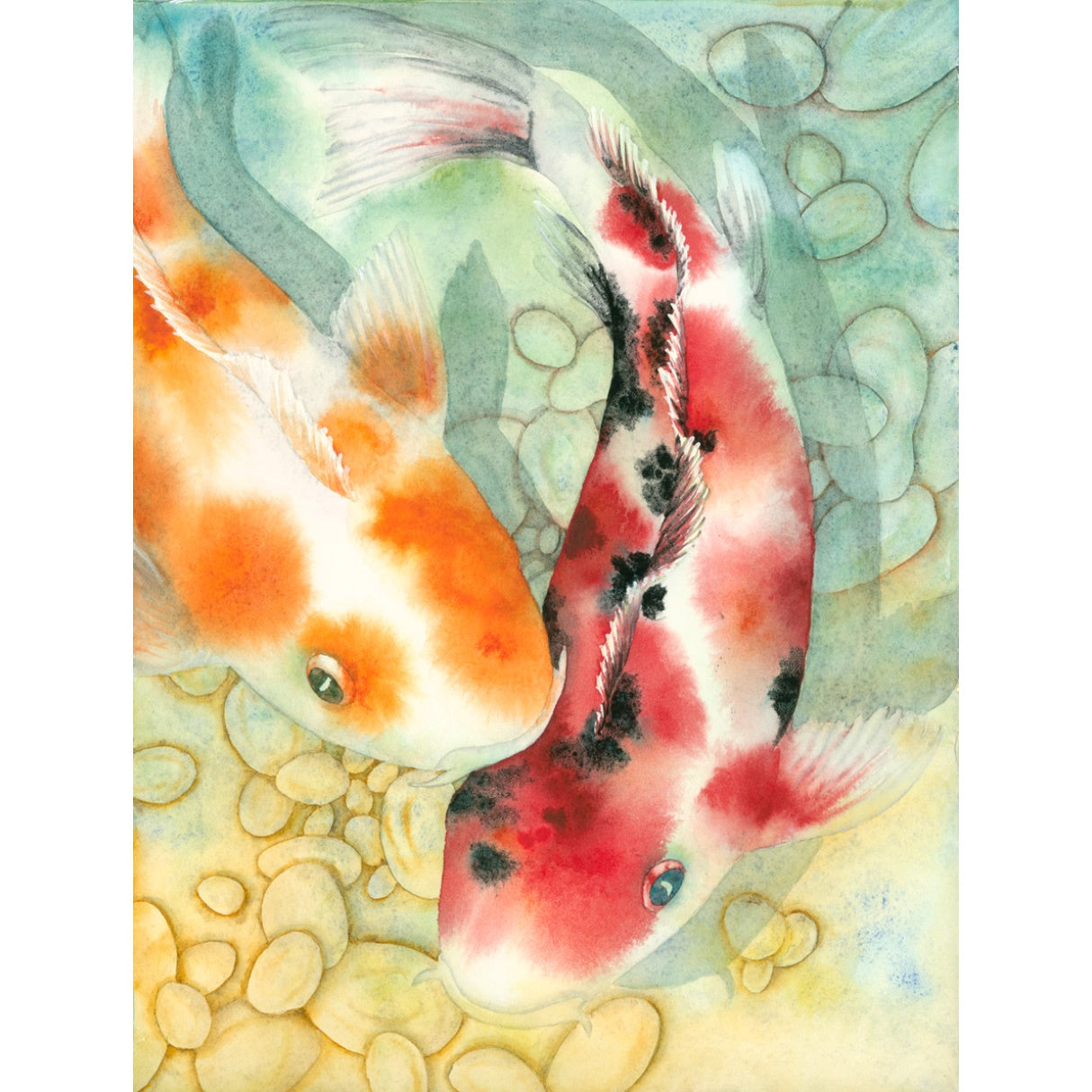 Showa Koi