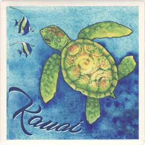 Baby Honu Coaster