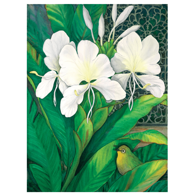White Ginger & White Eyes Giclée