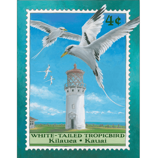 White-Tailed Tropicbird /Kilauea Lighthouse