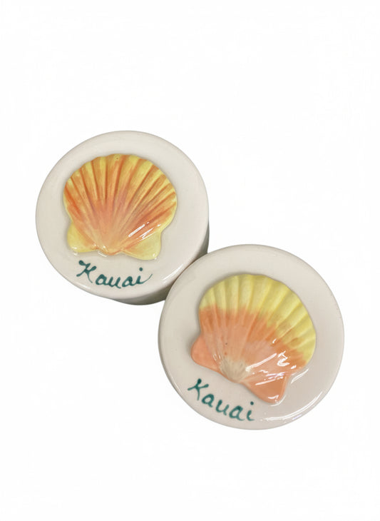 Treasure Box- Sunrise Shell