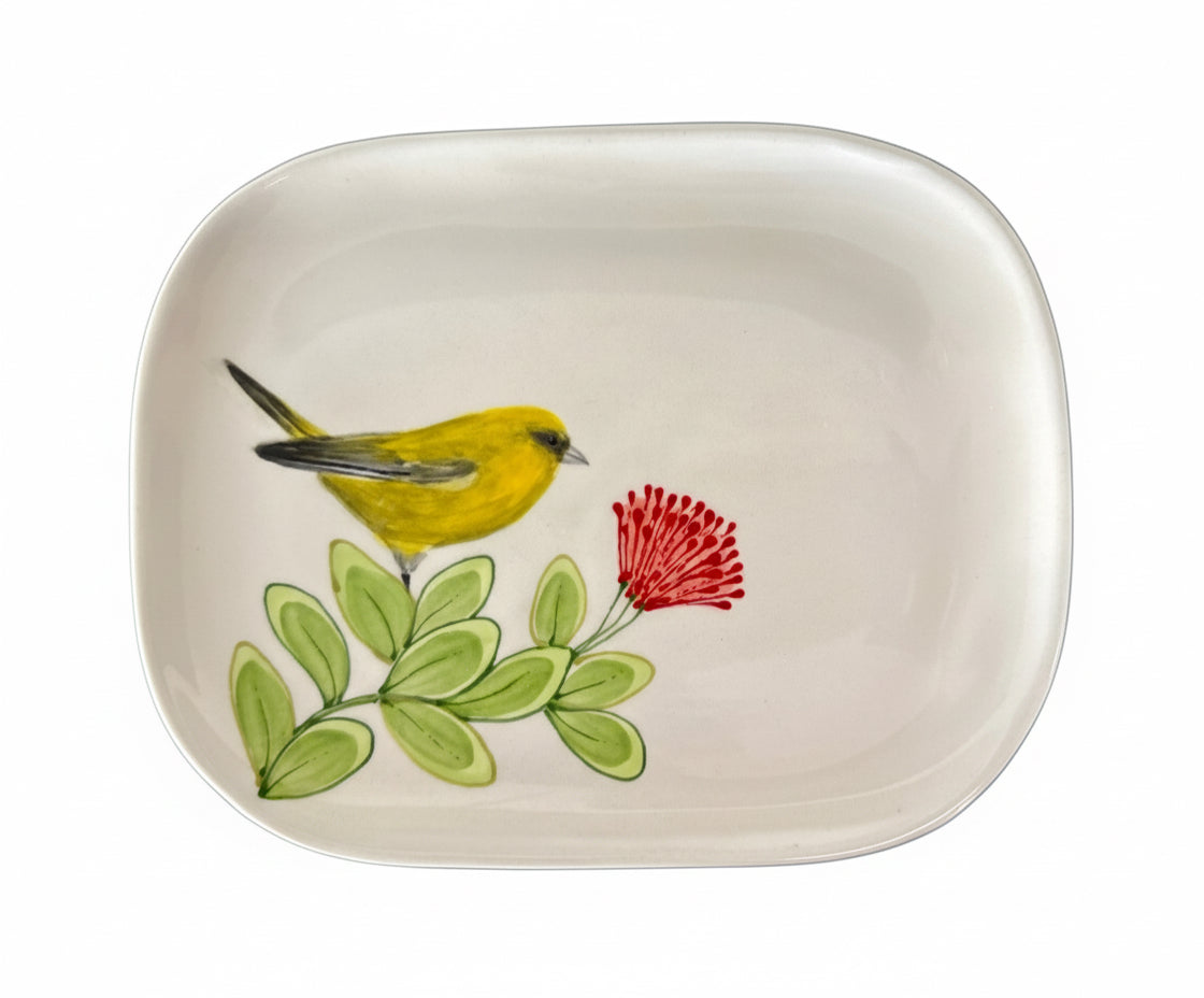 Kaua'i Birds Squircle Platter
