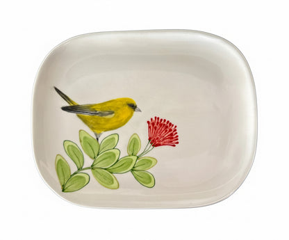 Kaua'i Birds Squircle Platter
