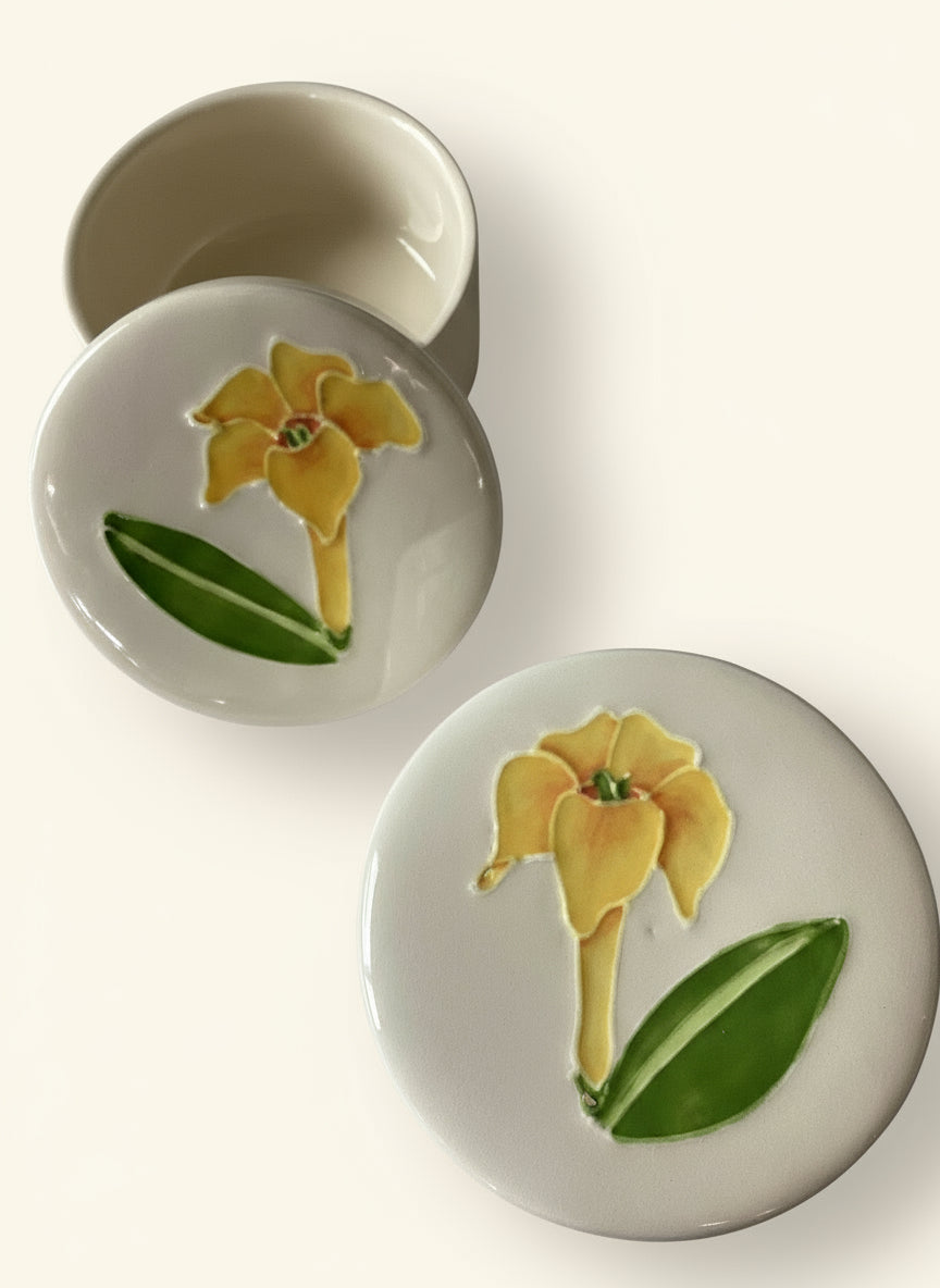 Treasure Box- Puakenikeni