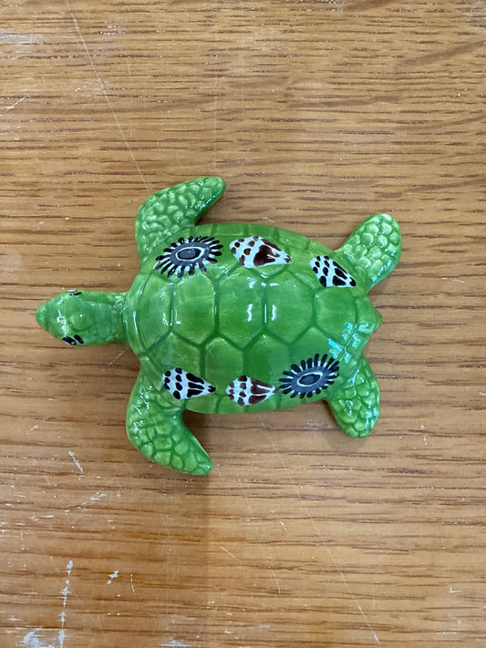 3D Turtle