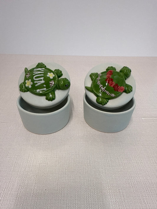 Treasure Box- 3D Turtle