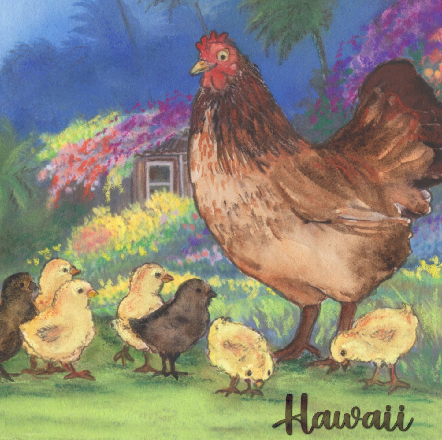 Hen & Chicks Kauai Coaster