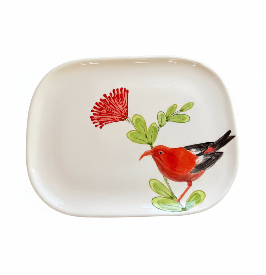 Kaua'i Birds Squircle Platter