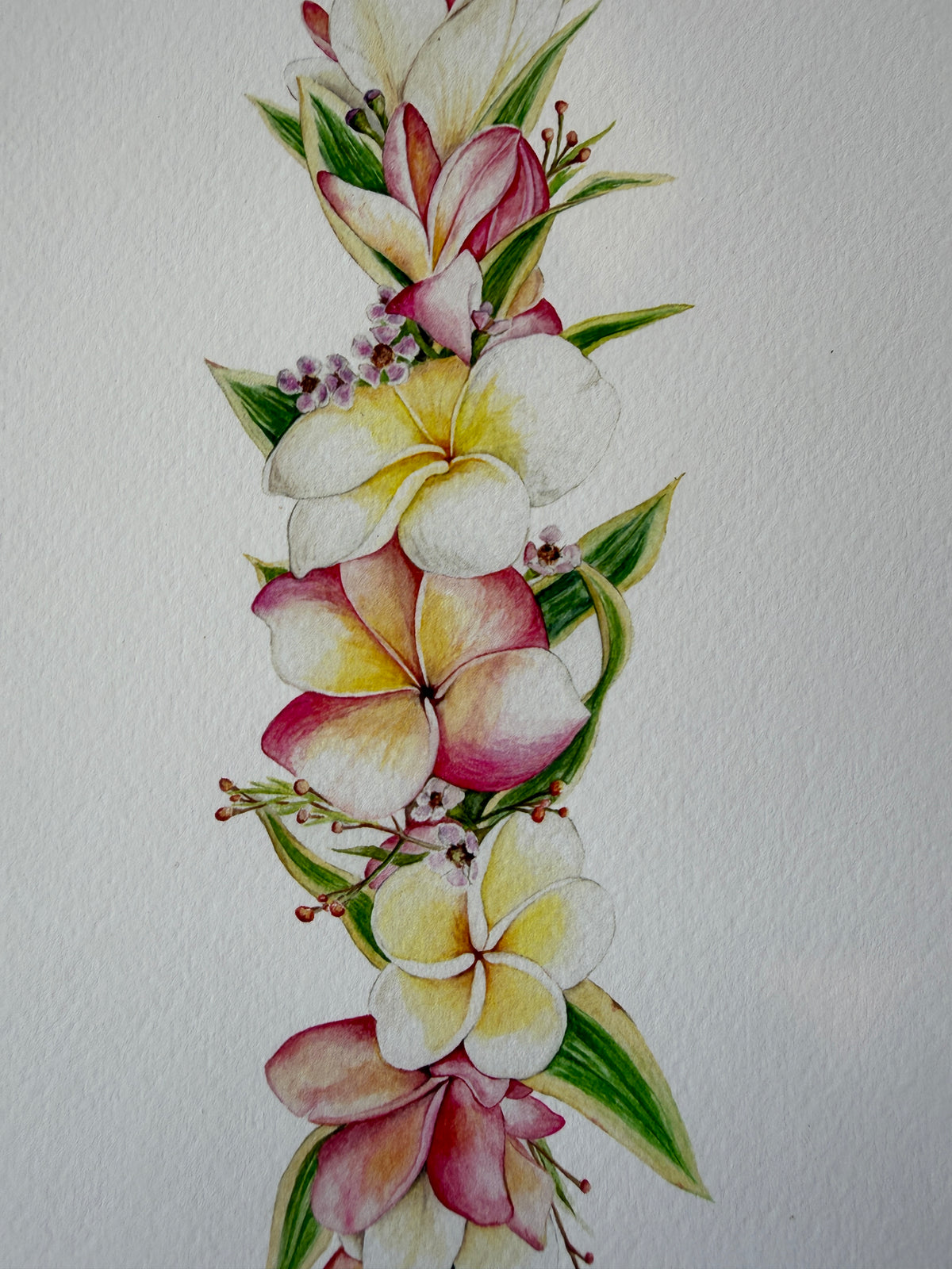 Plumeria Lei Po' o