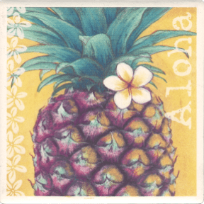 Pineapple Aloha Coaster