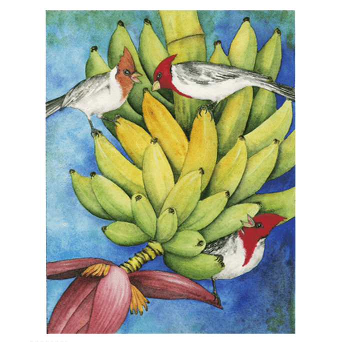Brazilian Cardinals in the Bananas Giclée