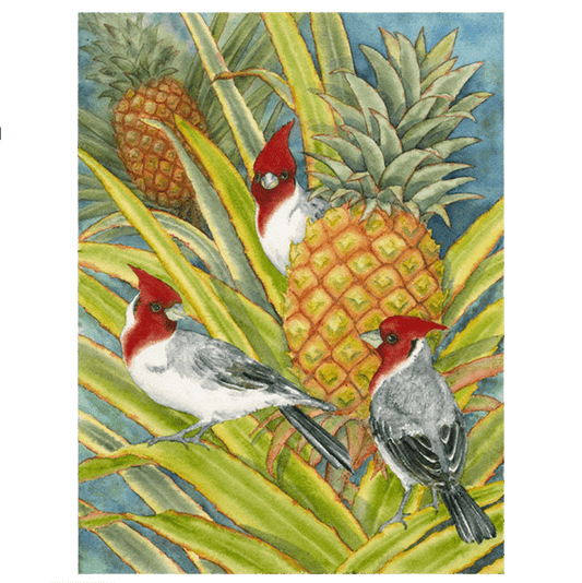Brazilian Cardinals in the Pineapple Patch Giclée