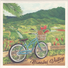 Hanalei Overlook Postcard