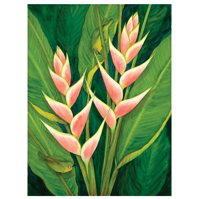Heliconia & White Eyes Giclée