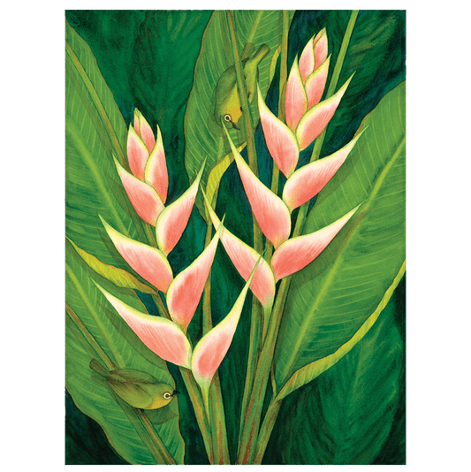 Heliconia & White Eyes Giclée
