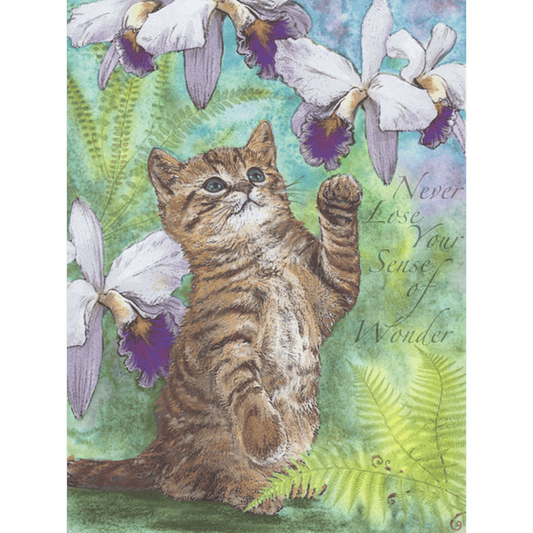 Sense of Wonder Print