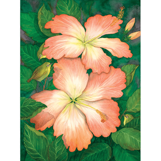 Hibiscus & White Eyes Print