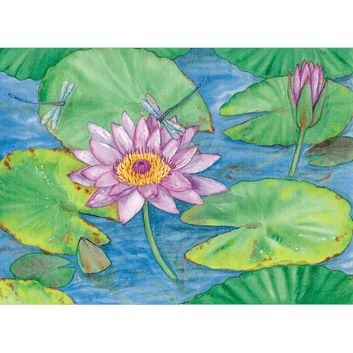 Waterlilies & Dragonflies Print