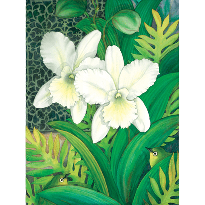 White Orchids & White Eyes Print