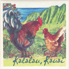 Kalalau Valley Chickens Cork Coaster