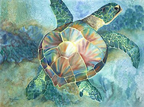 Honu Nancy Forbs