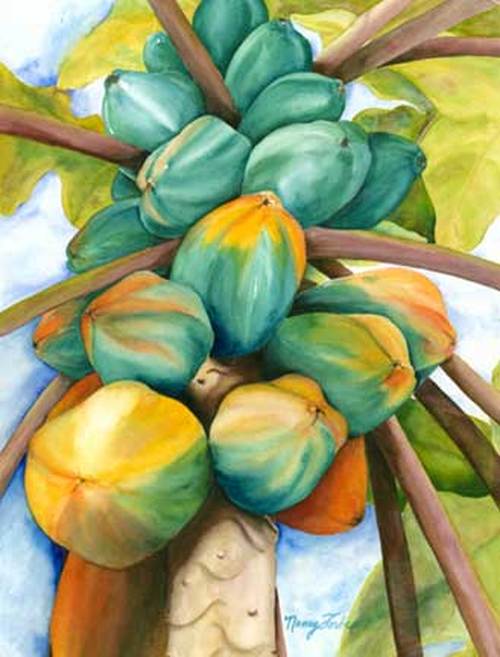 Papayas Nancy Forbes