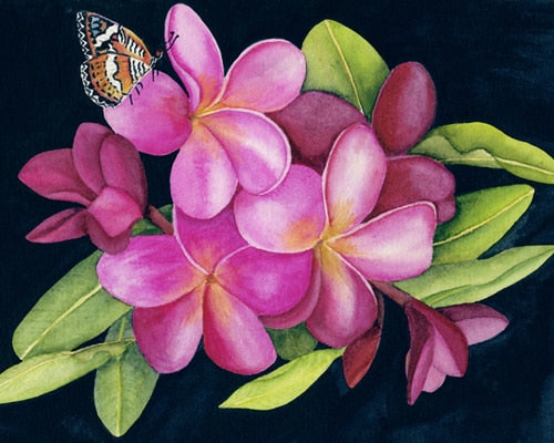 Pink Plumeria with Butterfly Print Nancy Forbes