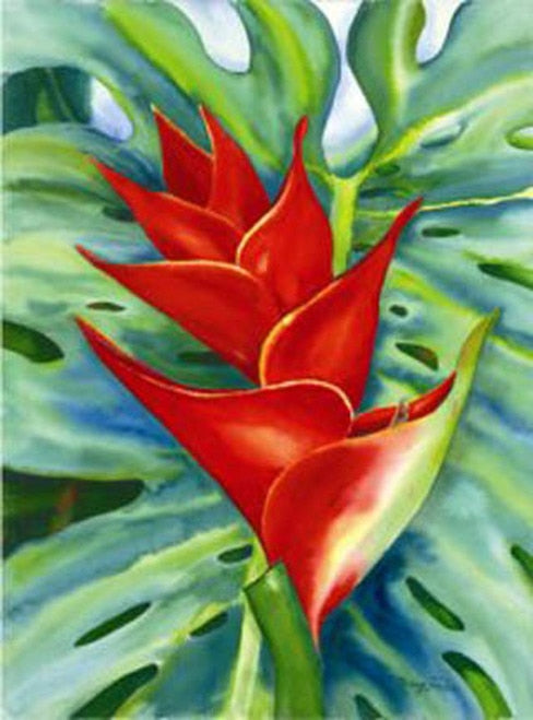 Red Heliconia Nancy Forbes