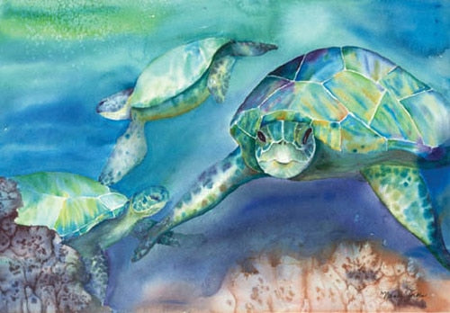 Three Turtles Nancy Forbes