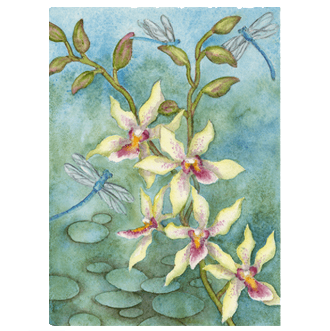 Orchid & Dragonflies in Blue Giclée
