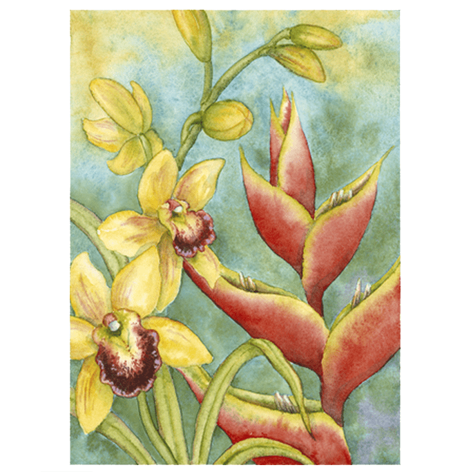 Orchids & Heliconia Giclée