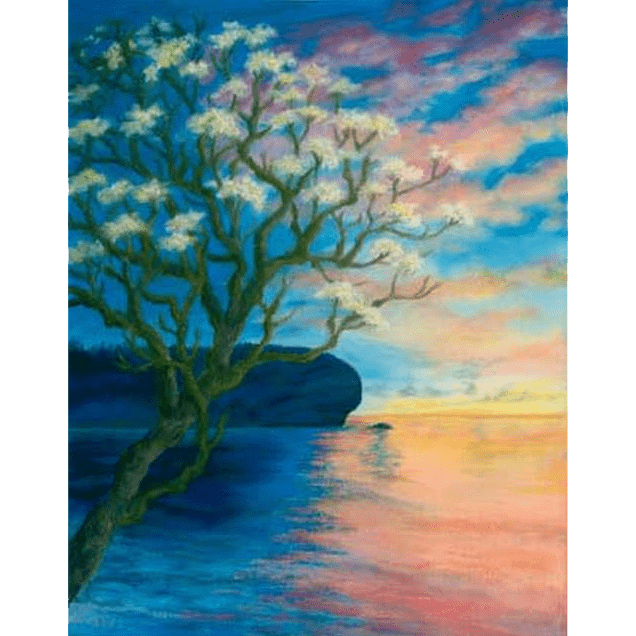 Plumeria at Shipwreck Beach Giclée