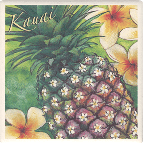 Plumeria Pineapple Coaster