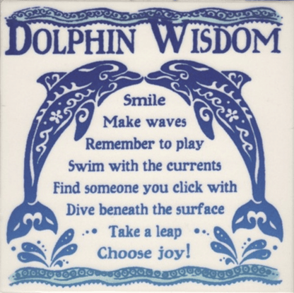 Dolphin Wisdom